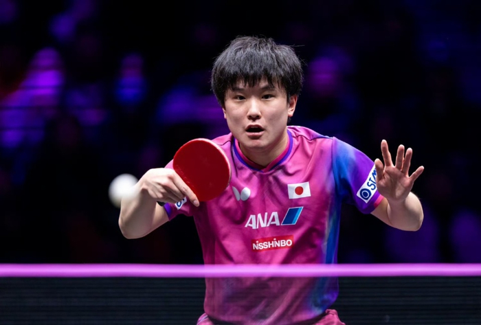 蒯曼与张本美和再战女单决赛，勒布伦迎战温瑞