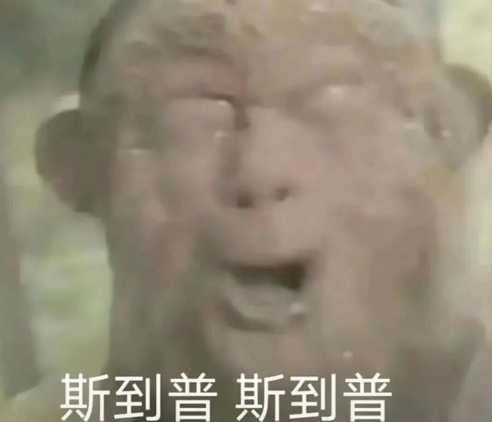 猛龙主场力克骑士系列赛2-2平局关键球员表现引